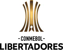 LIBERTADORES - TIENDA DEL JUGADOR